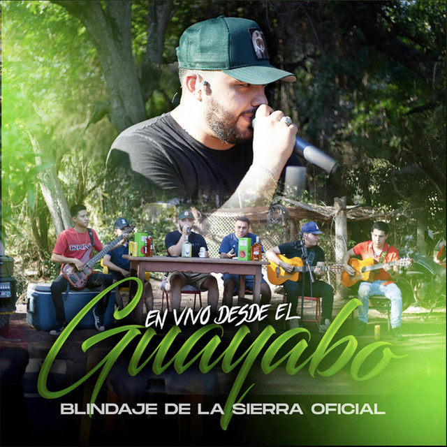 Desde El Guayabo (En vivo) album image