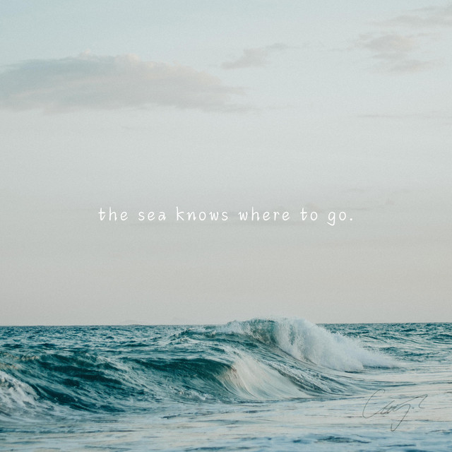 the sea knows where to go.