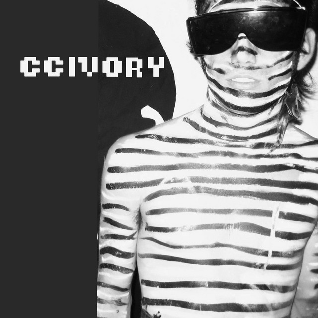CCIVORY Photo