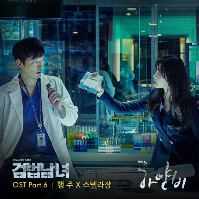 Investigation Couple, Pt. 6 (Original Television Soundtrack) cover