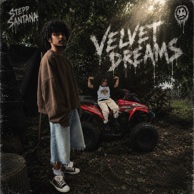 velvet dreams album image