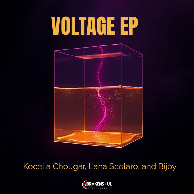 VOLTAGE