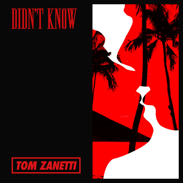 Didn't Know by Tom Zanetti