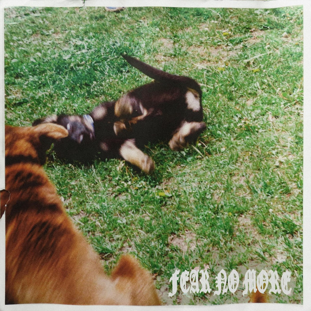 Cover art: INTRO — Boanthropy