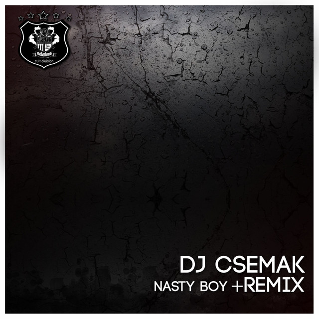 Nasty Boy