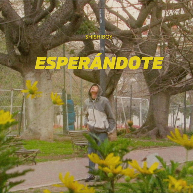Esperándote... cover art