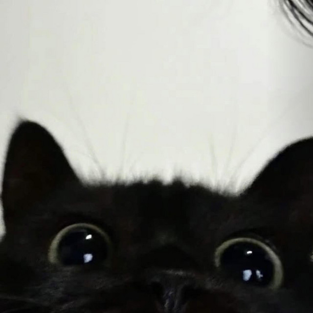 I H8TE BEING L8 TO EVERYTHING cover art