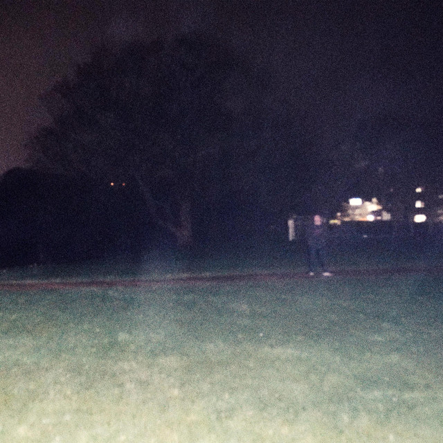 Bird With A Broken Foot