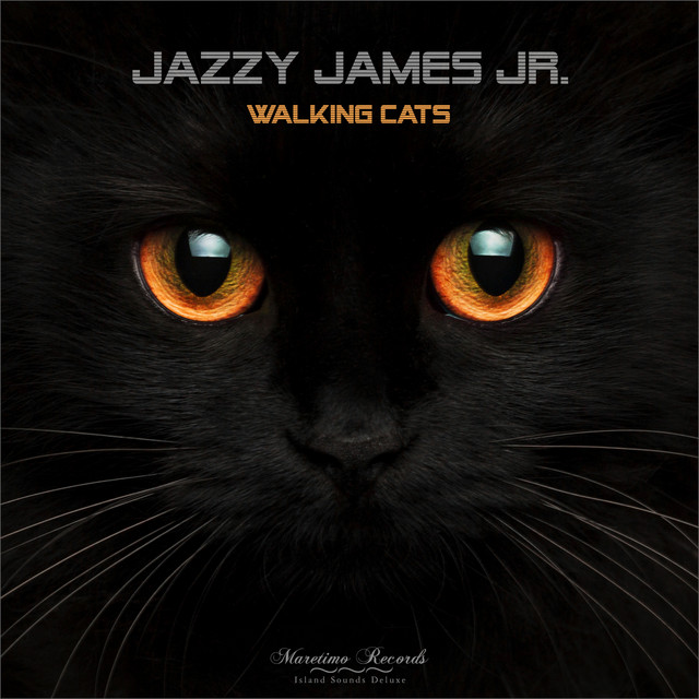 Jazzy James Jr. artist photo