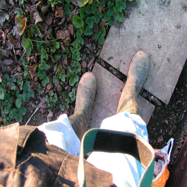 Get Your Wellington Boots On