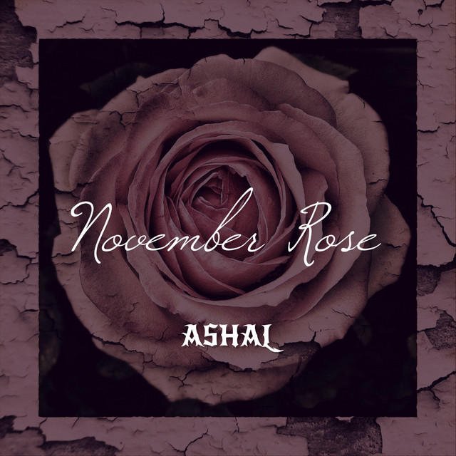 November Rose Ep By Ashal Spotify