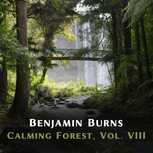 Calming Forest, Vol. VIII cover art