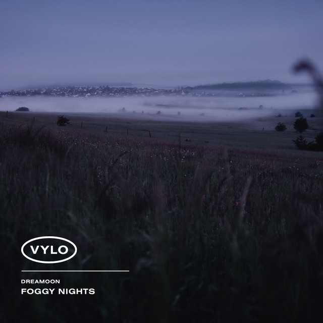Foggy Nights cover art