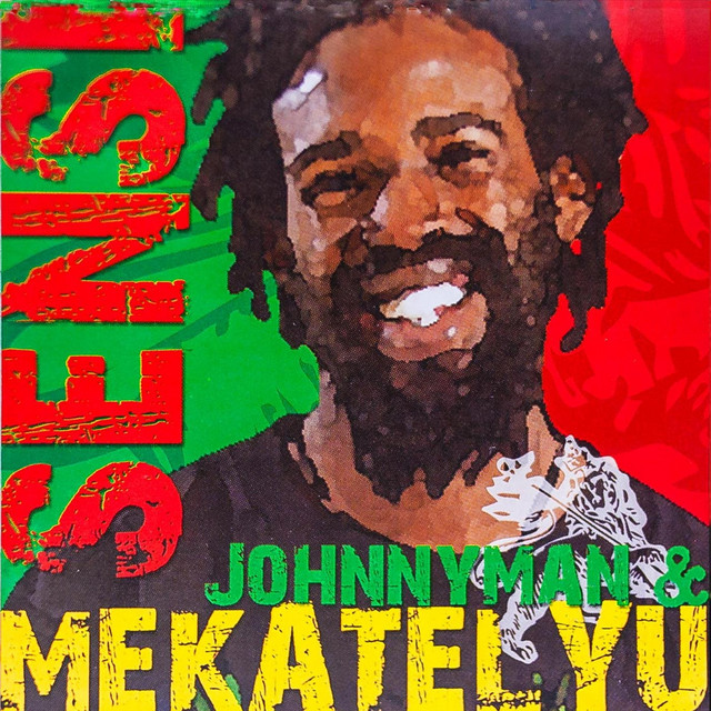 Sensi cover art