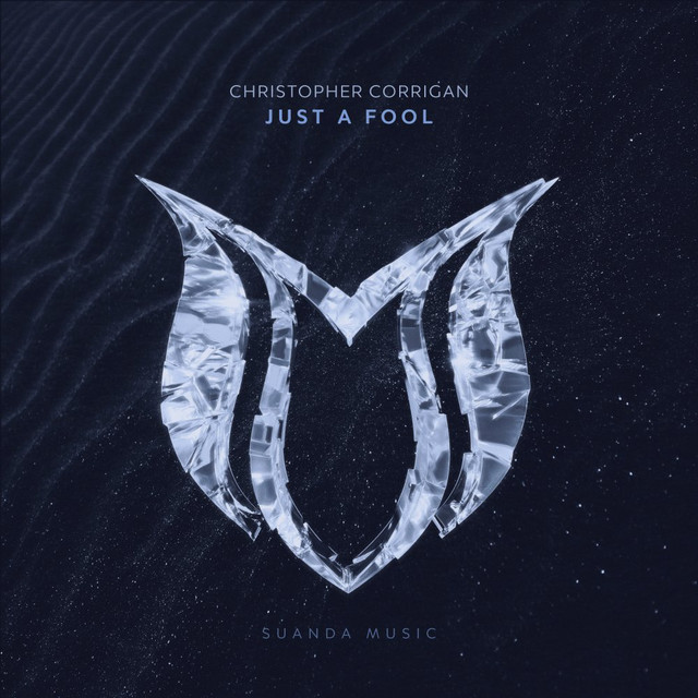 Just A Fool - Extended Mix album art