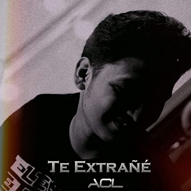 Te Extrañé cover art