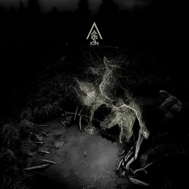 Ascension cover art
