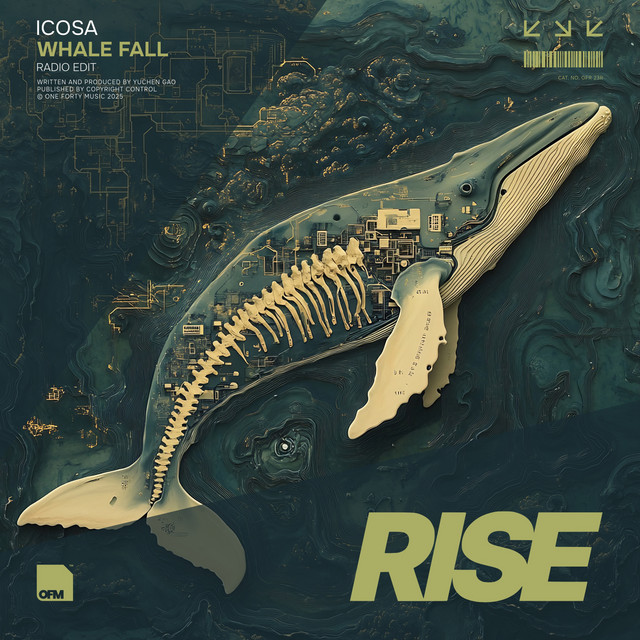 Whale Fall - Radio Edit