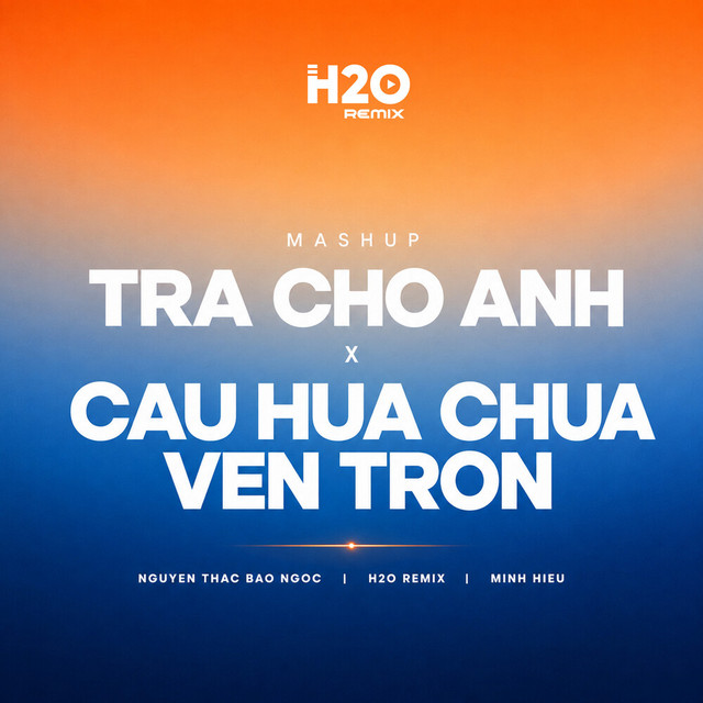 Mashup Trả Cho Anh x Câu Hứa Chưa Vẹn Tròn (Remix) album image