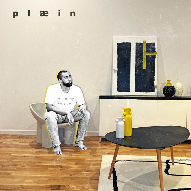 Plæin cover
