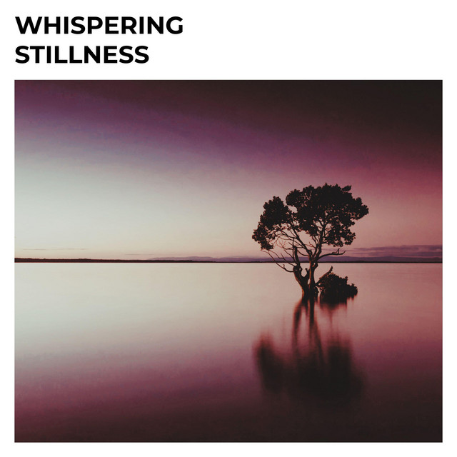 Whispering Stillness album image