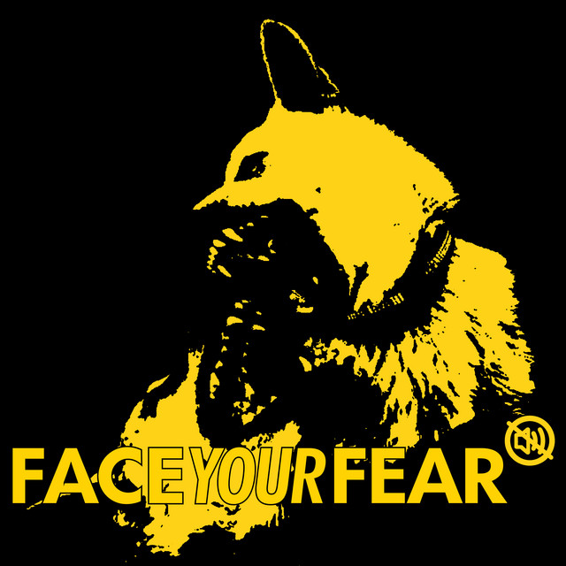 Face Your Fear