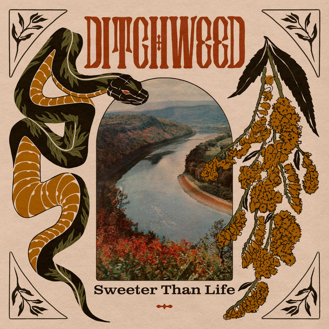 Ditchweed