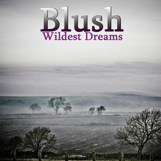 Wildest Dreams cover art