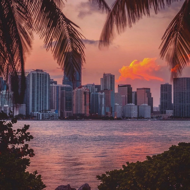 Miami cover art