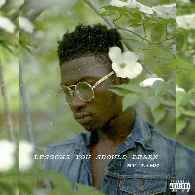 Lessons You Should Learn cover art