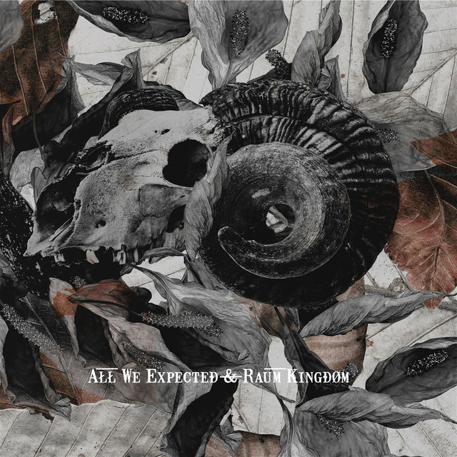 All We Expected & Raum Kingdom cover