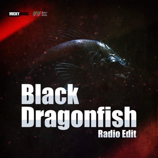 Black Dragonfish (Radio Edit) cover