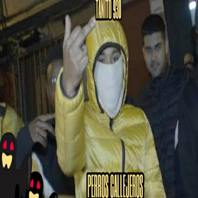 Perros Callejeros
