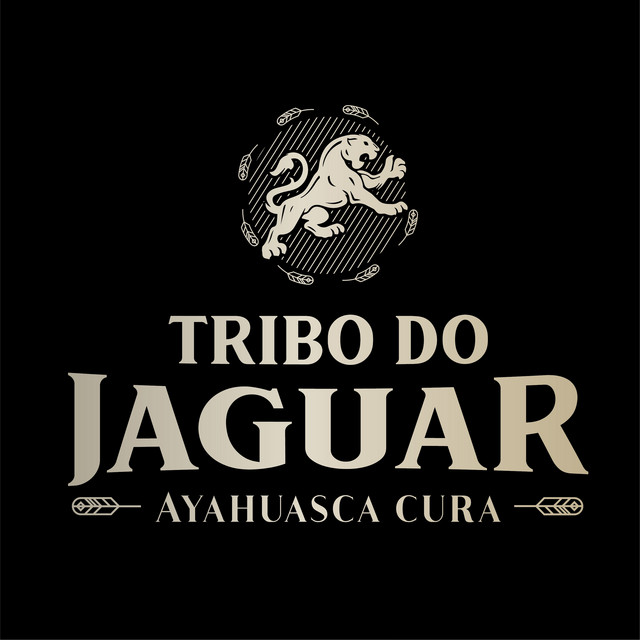 Sobe Sem Medo cover art