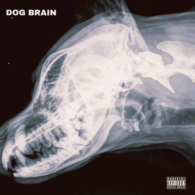 DOG BRAIN cover art