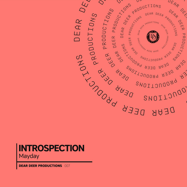 INTROSPECTION cover art