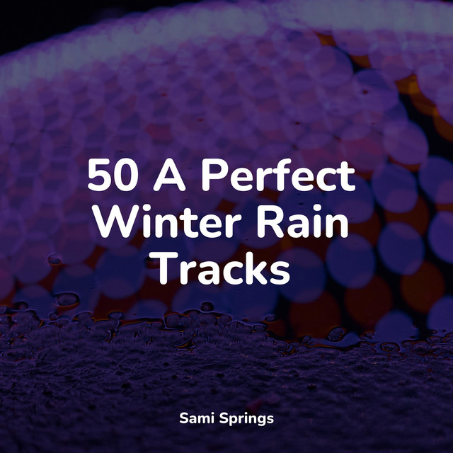 50 Ambient Rain and Nature Sounds - Album by Rainfall For Sleep | Spotify