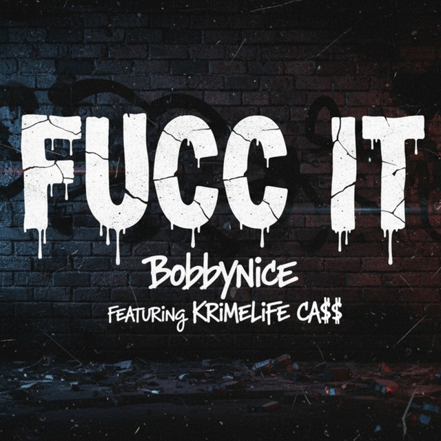 FUCC IT cover art
