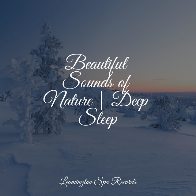 Beautiful Sounds of Nature | Deep Sleep - Album by Sounds Of Nature ...