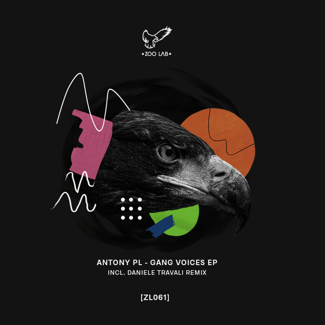 Gang Voices EP cover art
