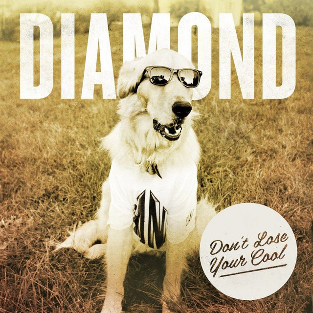 Don't Lose Your Cool cover art