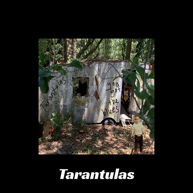 You Got the Blues cover art