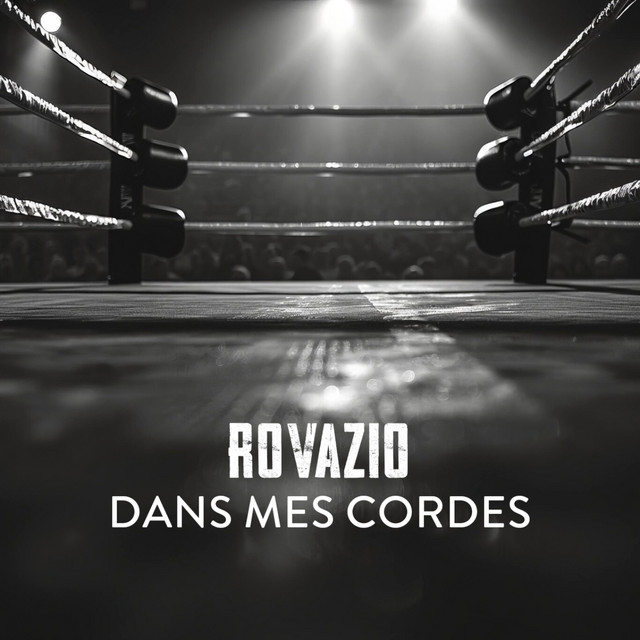 Dans mes cordes cover