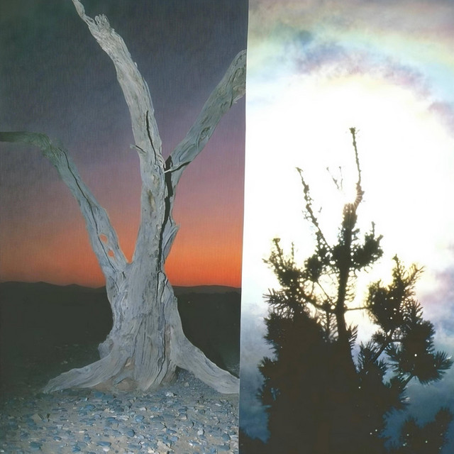 Nothing Never Lasts cover art