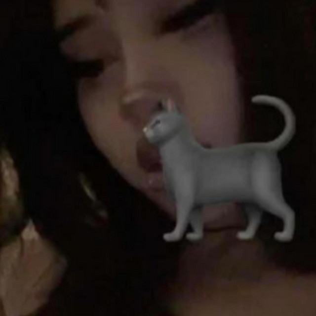 kitty cover art