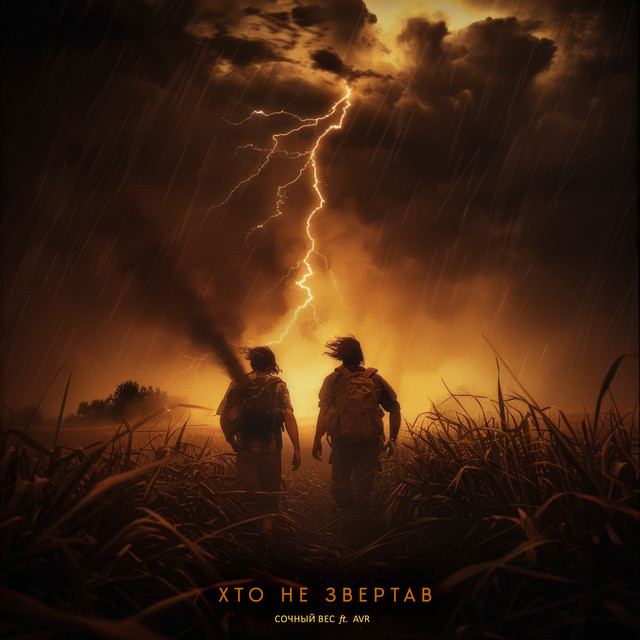 Cover art: Хто не звертав — Сочный вес