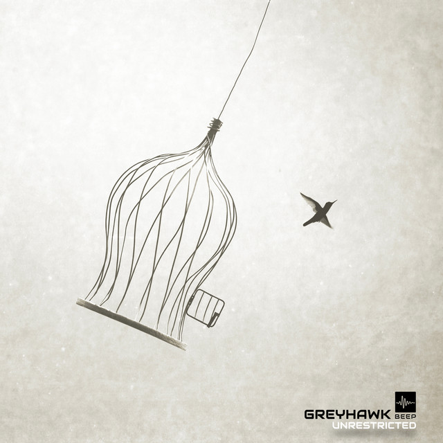 Unrestricted album art