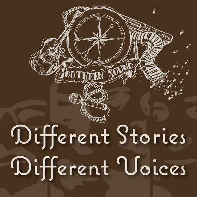 Different Stories, Different Voices cover