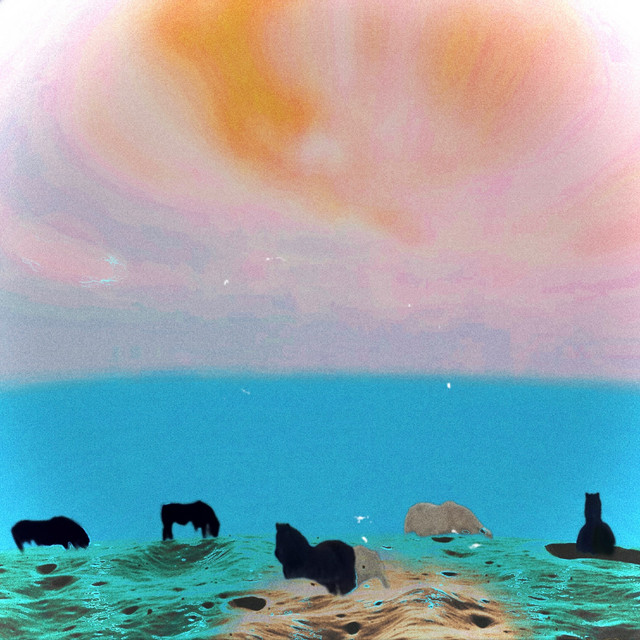 Last Zoo artwork