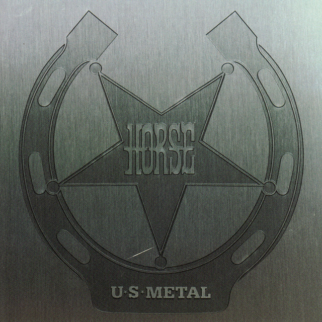 U.S. Metal cover art